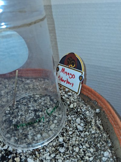 20260927_102822.jpg