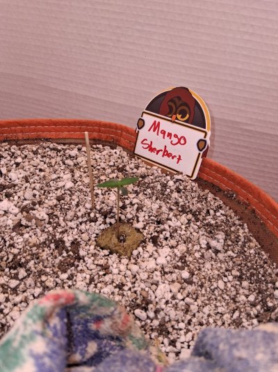 20261004_171846.jpg