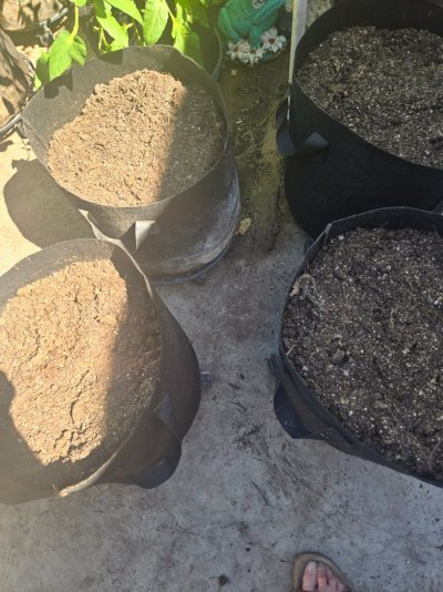 Grow-off