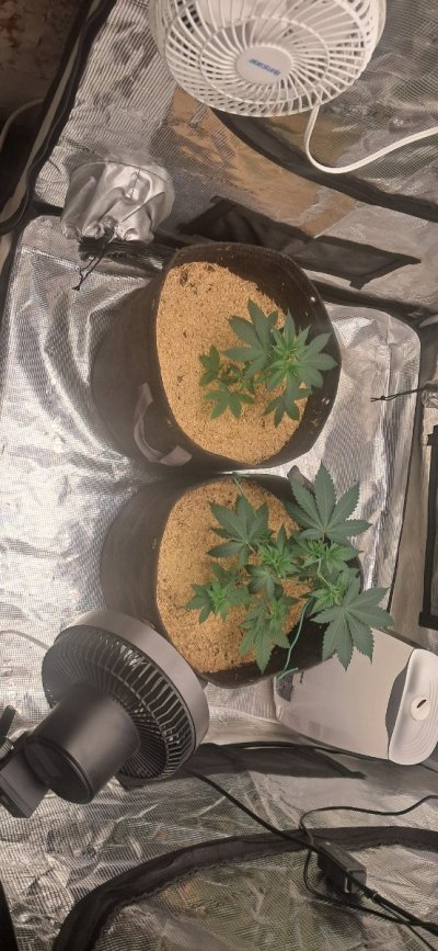 20261017_104138.jpg