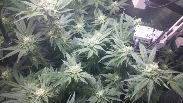 week-2026-10-17_1207.jpg