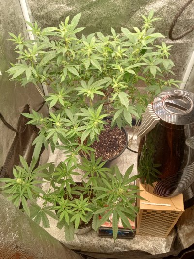 IMG_20261014_144002917_HDR.jpg