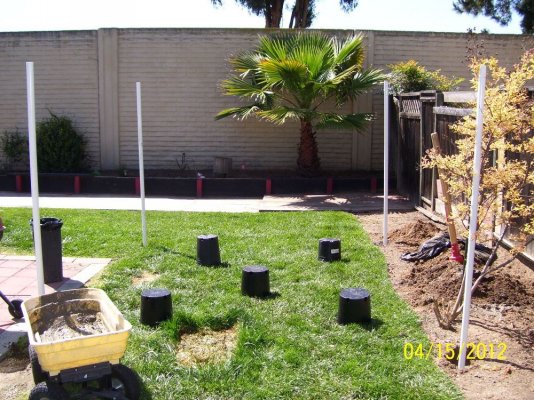 gonna-be-a-great-2012backyard-grow-has-begun-3.jpg
