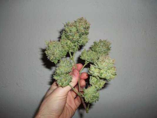 Deficiency troubles