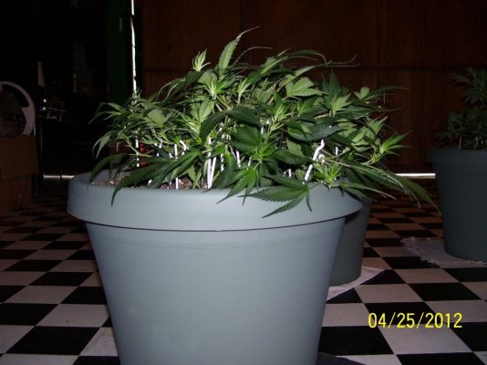 100_3147.jpg