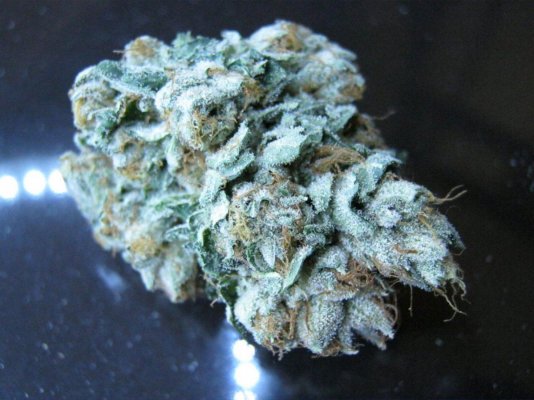 A few shots of my rooms growing in Beds with some new strains WIFI X SOUR D and...