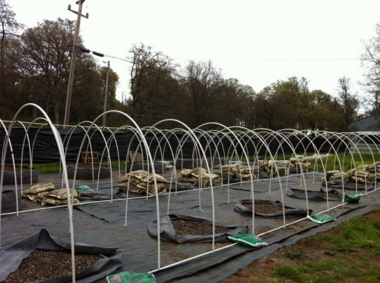 garden-of-love-2012-3.jpg