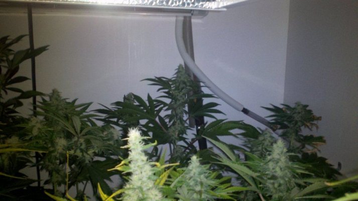 blazer's bunker!