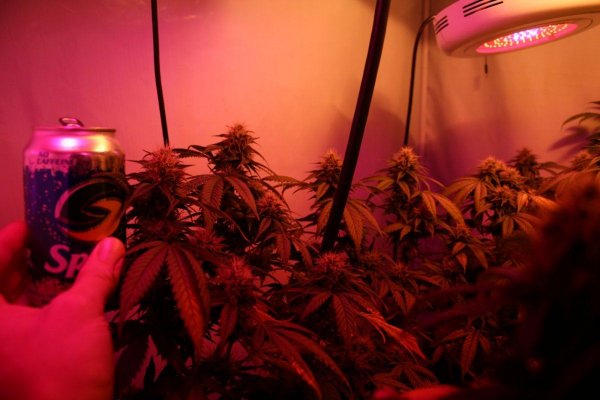 Experiaments with gen 3 LED's lights