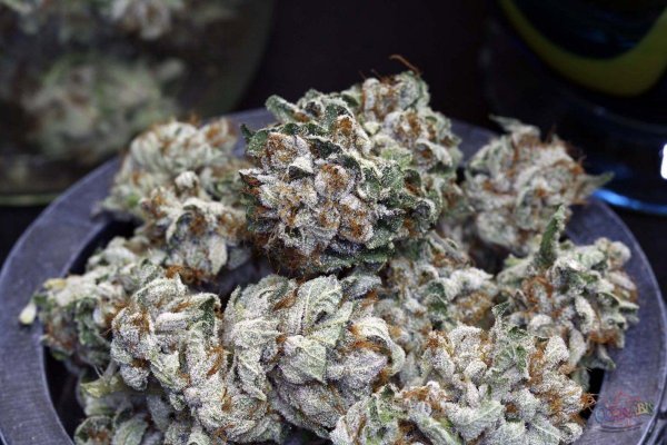 purple-kush-dry-nugs-008.jpg