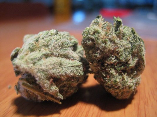 TRUE OG "Oakland Cut"