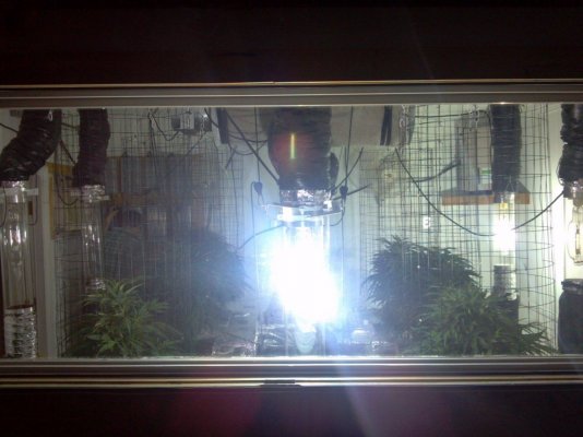 2012-06-29_12-52-44_217.jpg