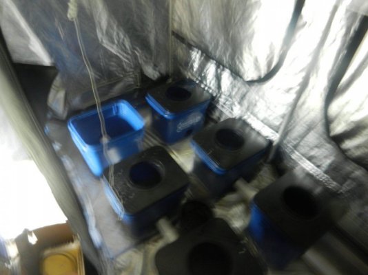 DSCN1139.JPG