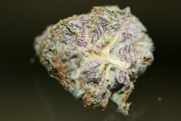 Just a few macro pics