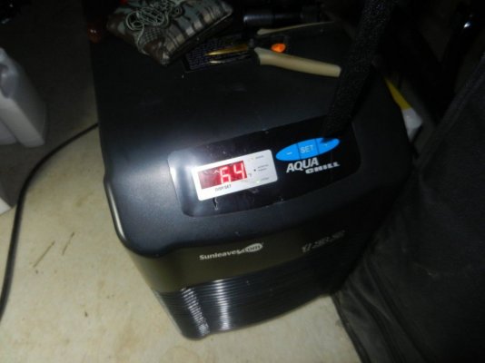 DSCN1147.JPG