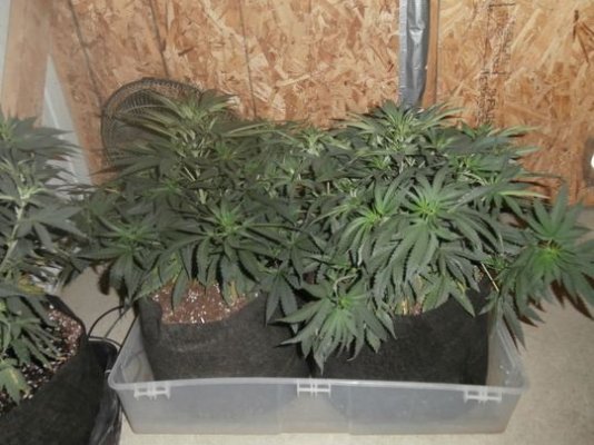 varwwwclientsclient1web2tmpphphev3kg.jpg