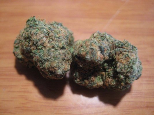 Animal Crackers GSC 011.JPG