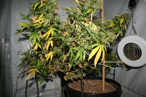 Experiaments with gen 3 LED's lights