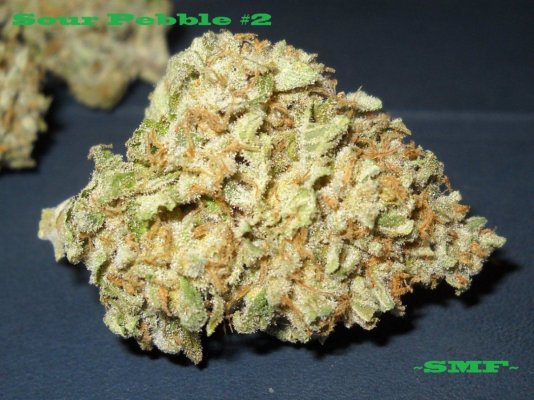 Sour Pebbles (Smoke Report)