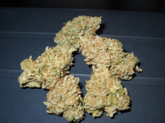 Sour Pebbles (Smoke Report)