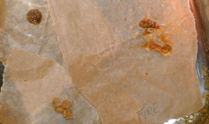 FOTOS OF MY BHO OIL