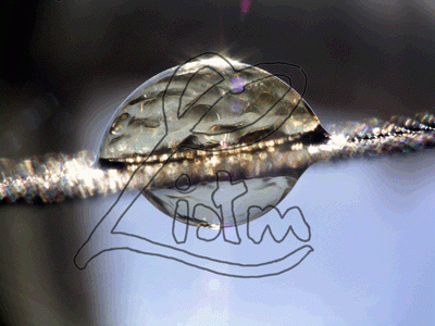 Perhaps1502.1001.gif