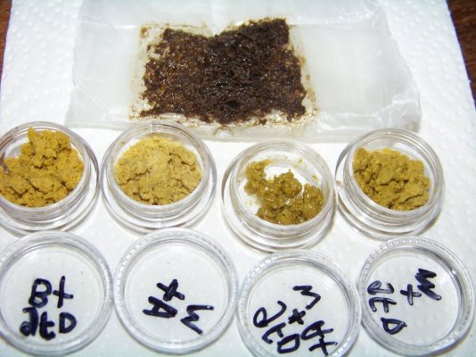 herb 007.JPG