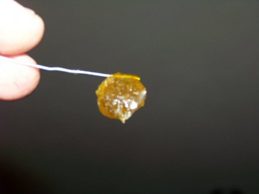 HERBAL2 015.JPG