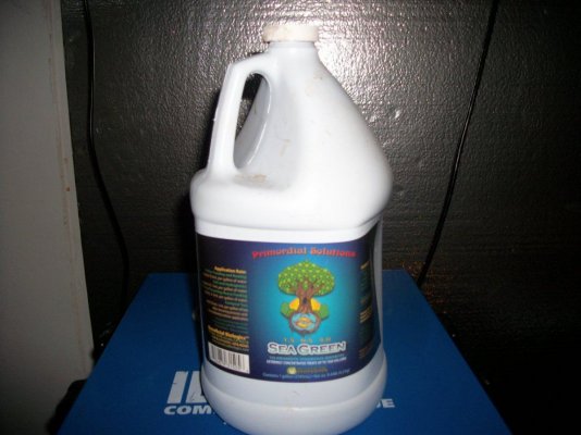 Primordial Solutions Sea Green