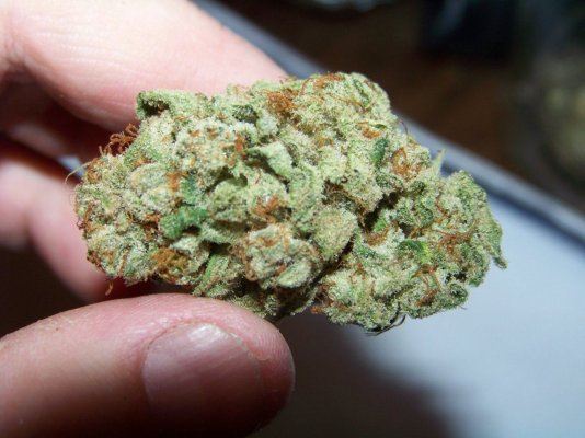 HERBAL 007.JPG