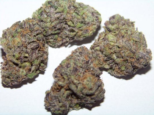 HERBAL 001.JPG