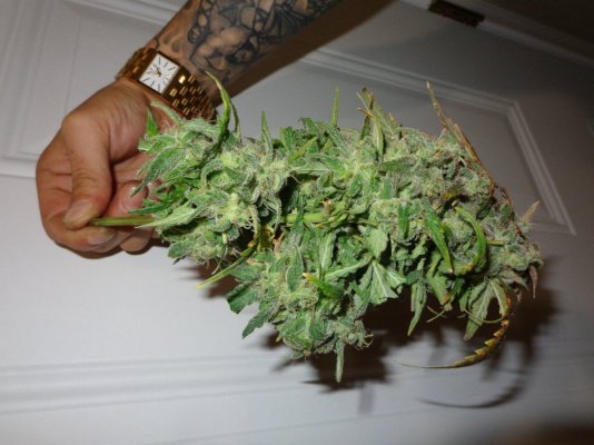 AK Day 56_4.JPG