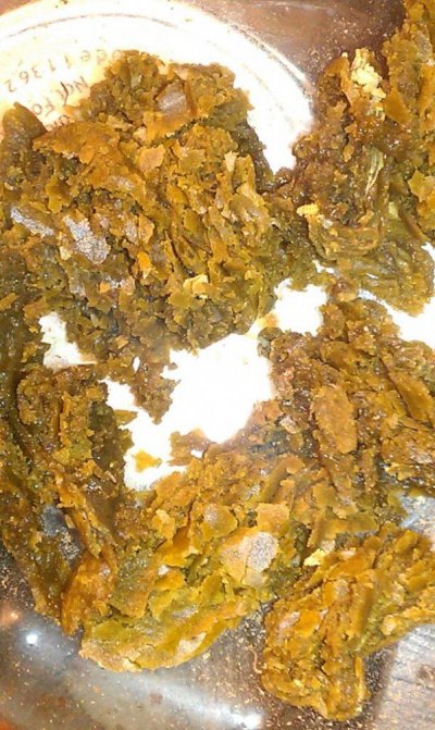 FOTOS OF MY BHO OIL