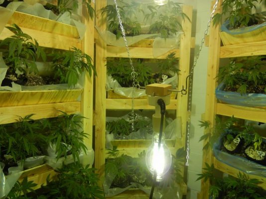 Soil Bed Grower looking for Vertical growing mentor