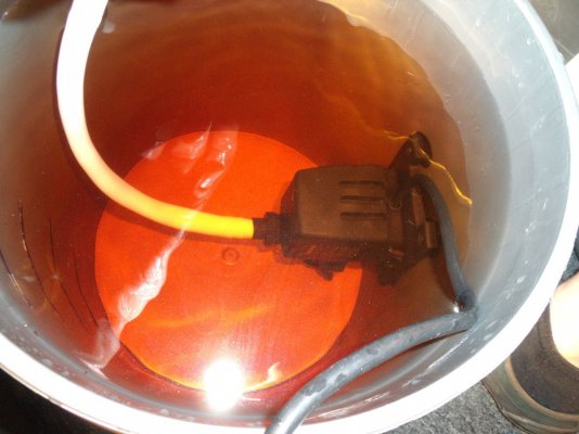 PumP 002.jpg
