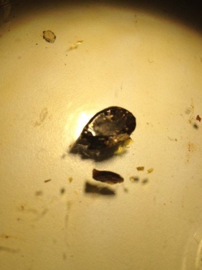 BHO RECORD YIELD?