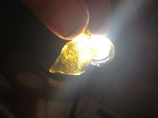BHO RECORD YIELD?