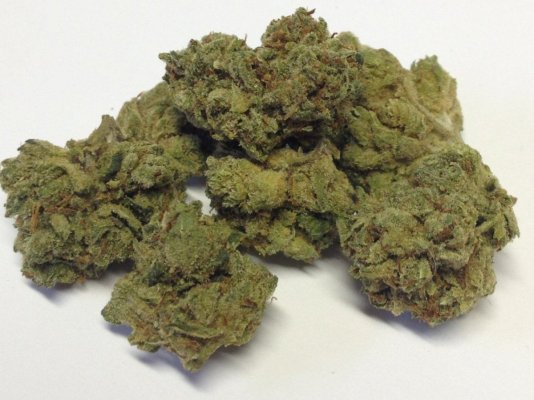 sbospic#8(san-fernando-valley-og-top).jpg