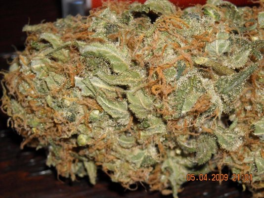 lambsberry cured nug,.jpg