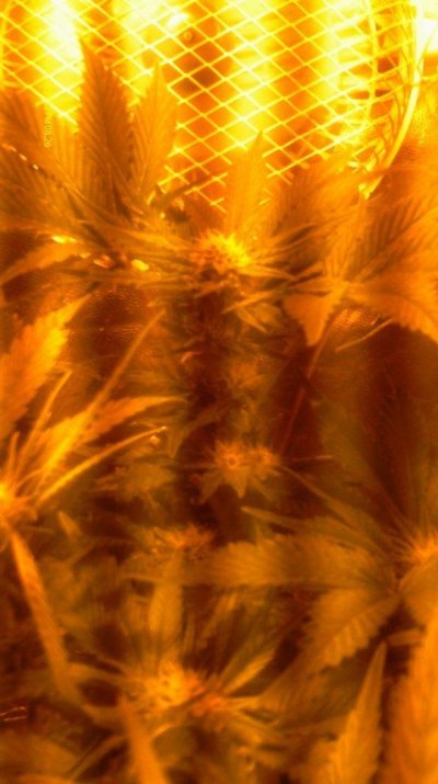 IMAG0544.JPG