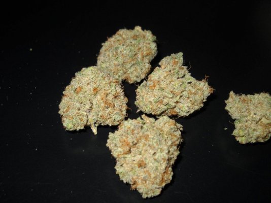 Picnic Basket OG and Sour Patch Kush bud shots ~SMF~