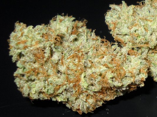 Picnic Basket OG and Sour Patch Kush bud shots ~SMF~