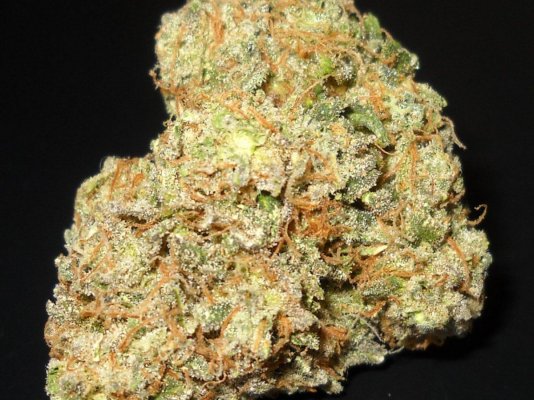 Picnic Basket OG and Sour Patch Kush bud shots ~SMF~