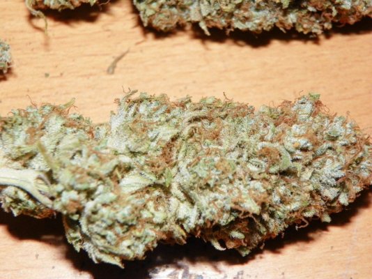 starfighter and galactic tahoe . . dig it or be dug for!