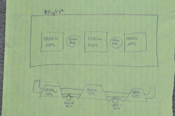 Multi-Spectrum Vs. HPS for flowering..