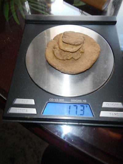 Walter's World: Blumats/AlienOrganics/GSC/'91/SCMK/GrapeApe/WiFi...