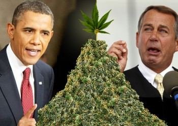 Obama Administration/Medical Marijuana=Federal Prison