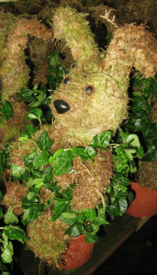 Meeks' 2013 Dapper Grow Log
