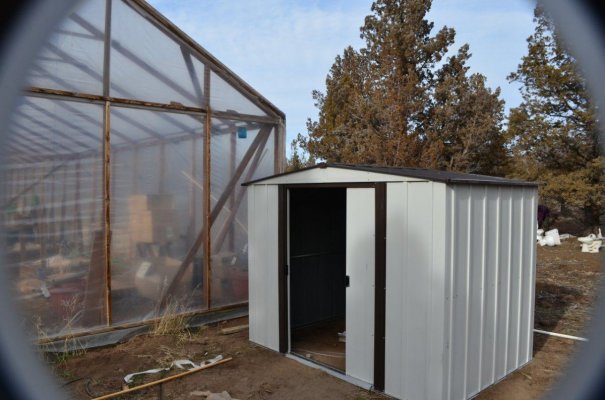 Tin shed