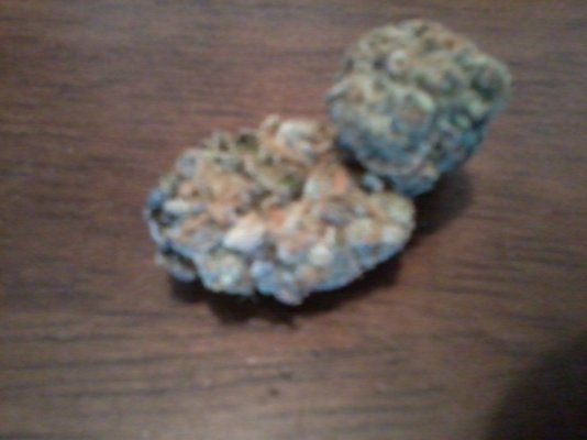 Girl Scout Cookies & Friends